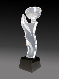 C216 Crystal Cup Trophy