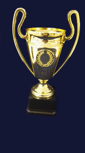 F93 CUP GOLD ONLY