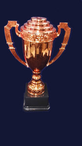 F99 CUP BRONZE WITH LID ONLY