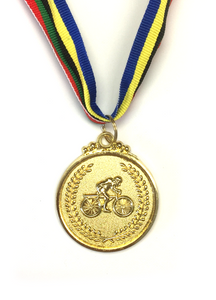 M6 Gold Bicyle Medal 5cm Diameter