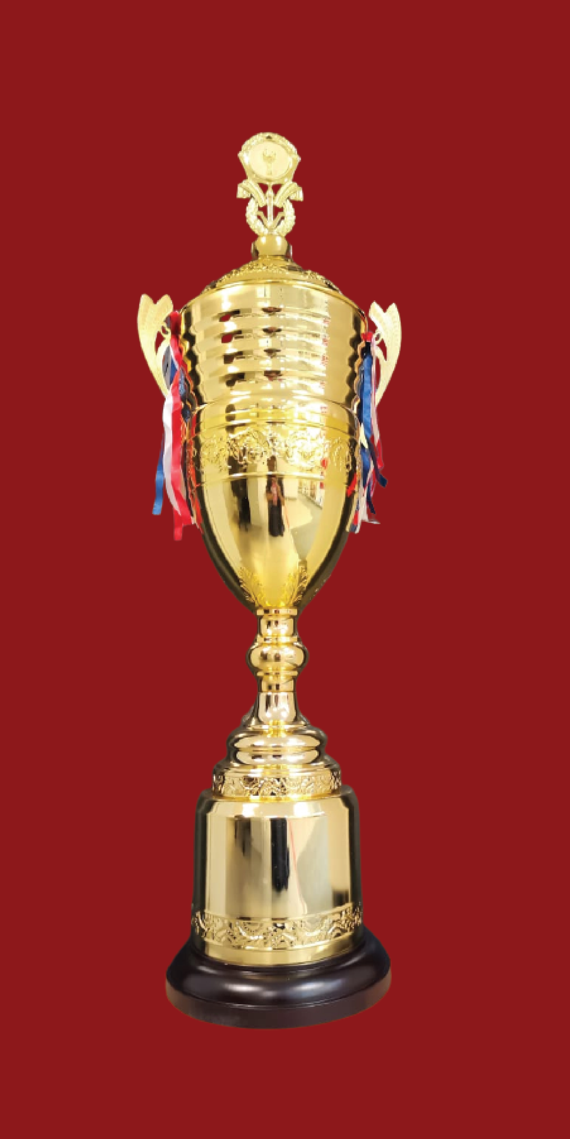 Aluminum (Body) Metal Trophy Cup, Size (Inches): 20inch, 22inch