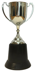 T197 Plastic Trophy