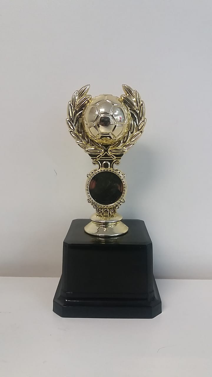 SC10A Soccer Ball Trophy