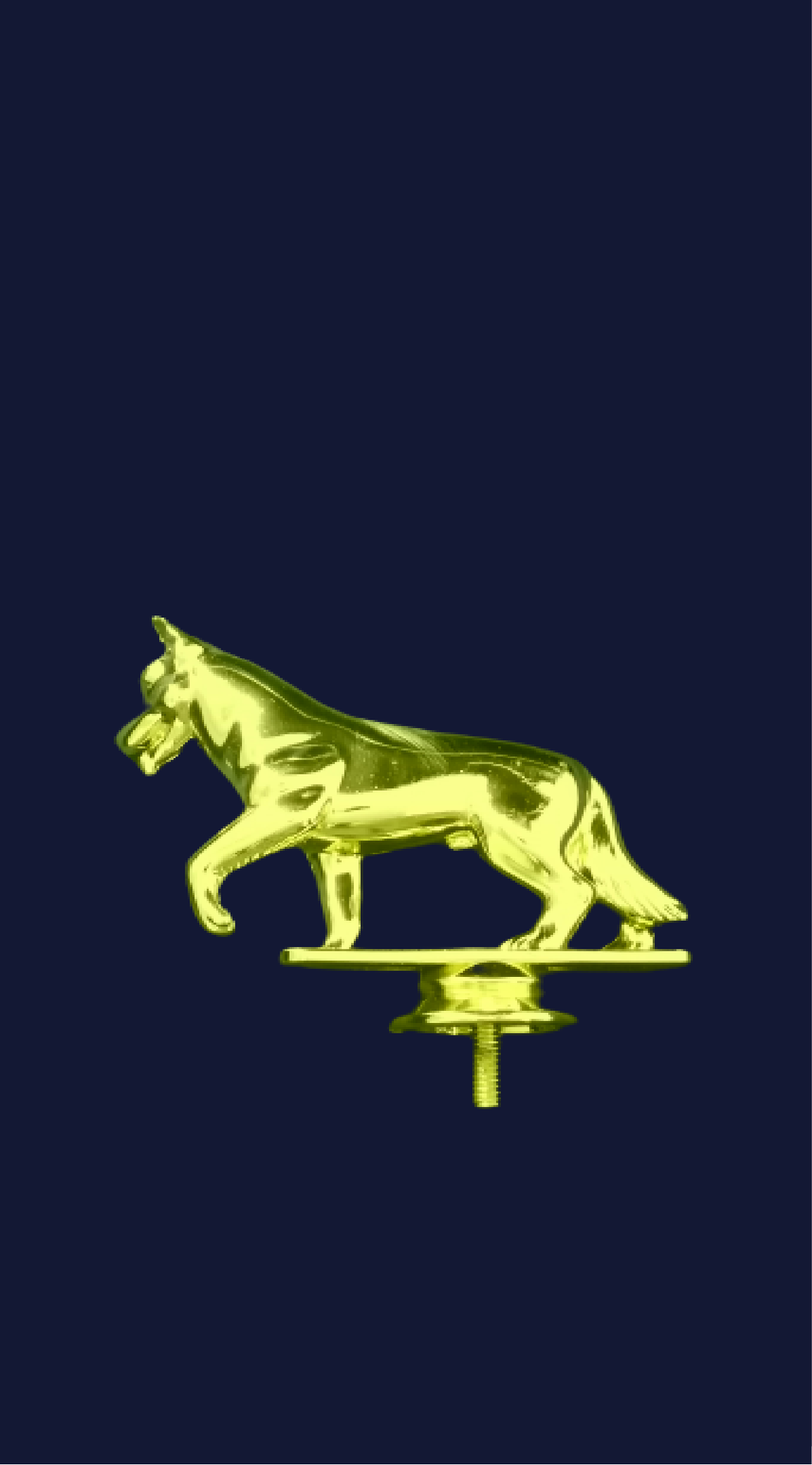 F113 GOLD DOG