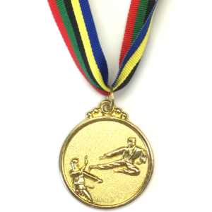 M10 Gold Karate Medal