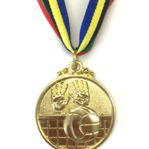 M16 Gold Volleyball Medal