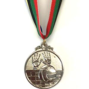 M16 Silver Volleyball Medal