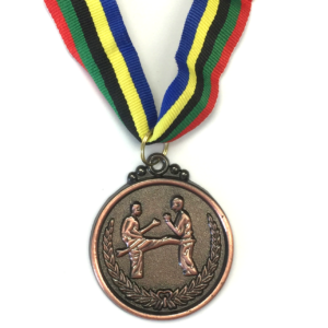 M21 Bronze Karate Medal