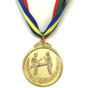 M21 Gold Karate Medal