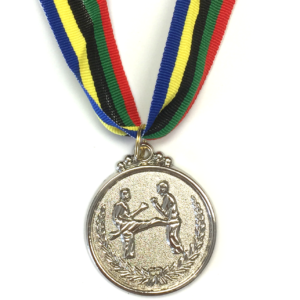 M21 Silver Karate Medal