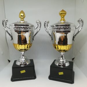 S03-Gold and Silver Plastic Cup Trophy