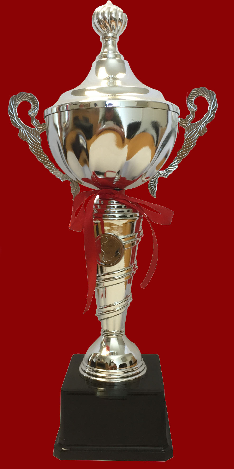 T191 Steel & Plastic Trophy