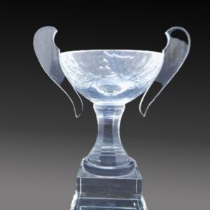 C214 Crystal Cup Trophy