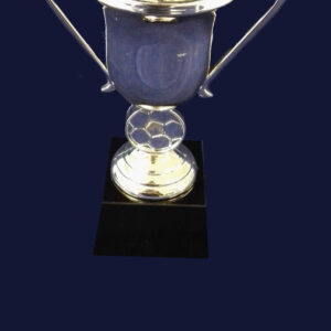 F94 CUP SILVER ONLY