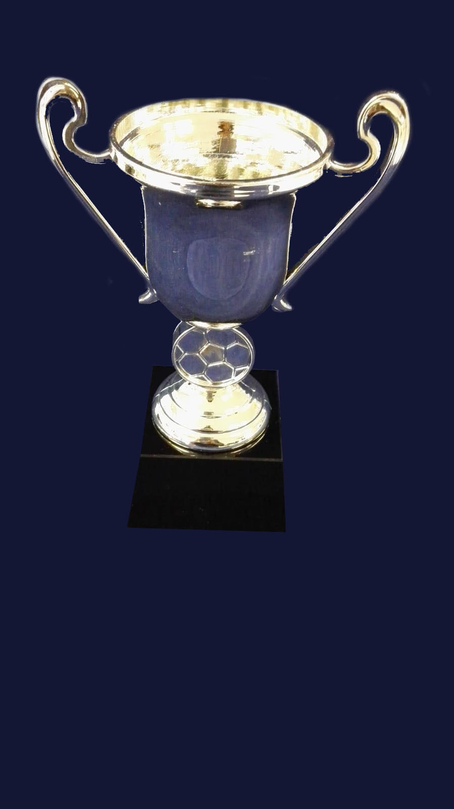 F94 CUP SILVER ONLY