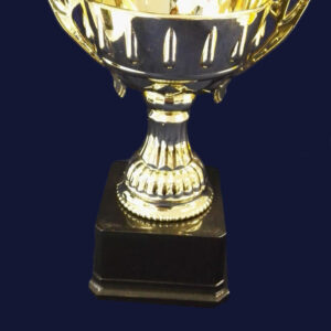 F96 CUP TROPHY GOLD ONLY