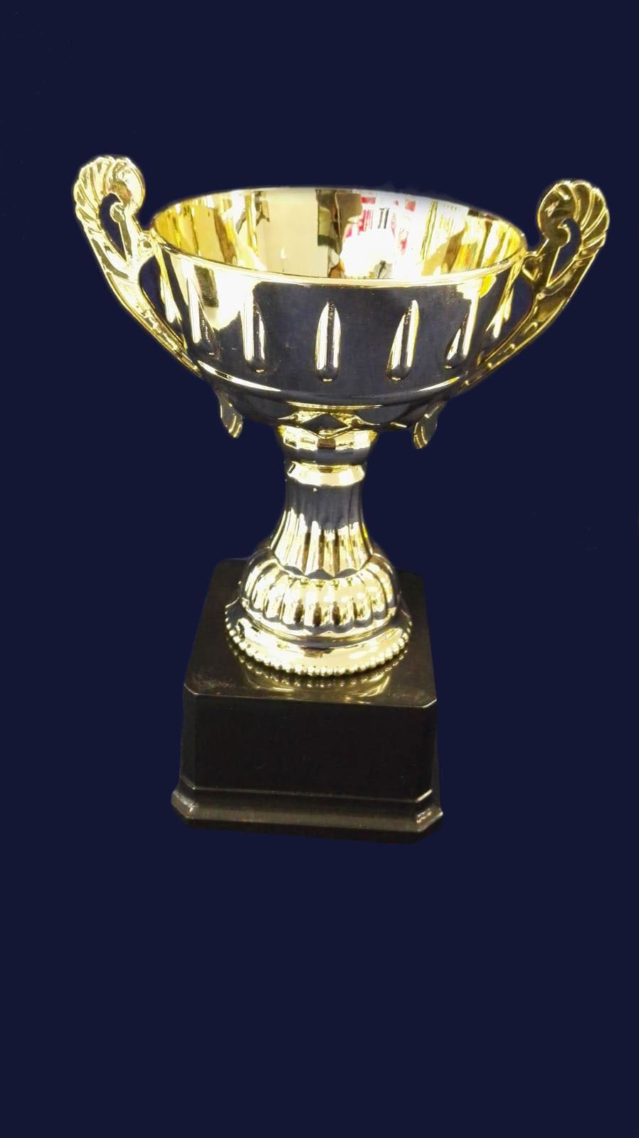 F96 CUP TROPHY GOLD ONLY