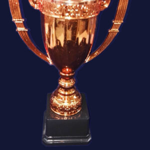 F99 CUP BRONZE WITH LID ONLY