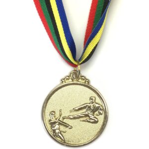 M10 Silver Karate Medal