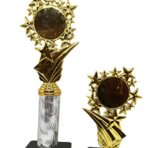 S36-Plastic Star Trophy