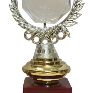 T11 Plastic Trophy