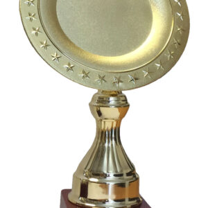 T116 Large Plastic Trophy