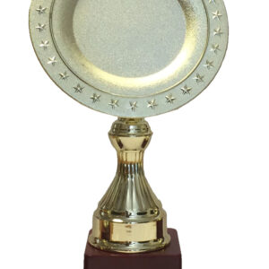 T117 Medium Plastic Trophy