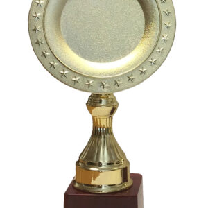 T118 Small Plastic Trophy