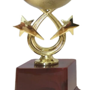 T121 Small Plastic Trophy