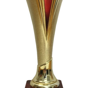 T129 Plastic Trophy