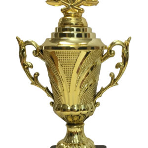 T13 Plastic Trophy