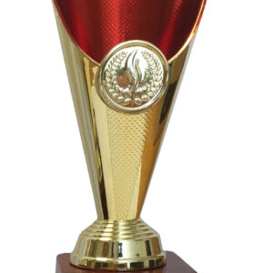 T130 Large Plastic Trophy