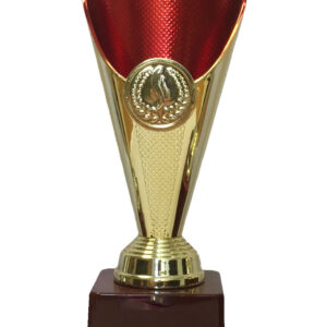 T131 Medium Plastic Trophy