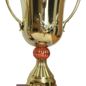 T140 Large Plastic Trophy