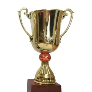 T141 Medium Plastic Trophy