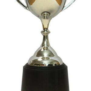 T197 Plastic Trophy