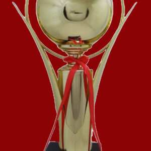 T243 GOLD STEEL & Plastic TROPHY