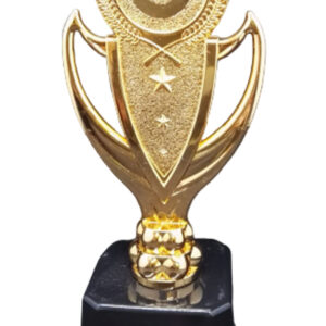 T244 BRONZE PLASTIC TROPHY