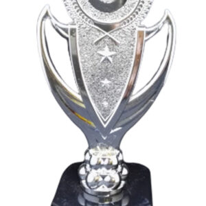 T245 PLASTIC TROPHY SILVER 18 CM