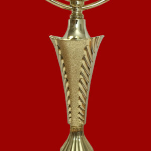 T80 Large STEEL & Plastic Trophy