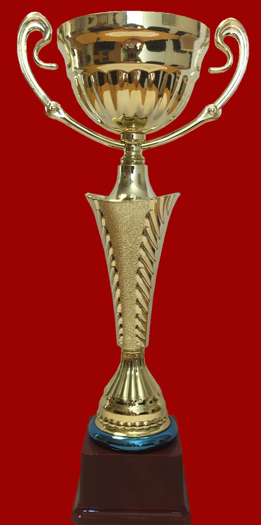 T80 Large STEEL & Plastic Trophy