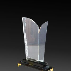 C52 Crystal Trophy