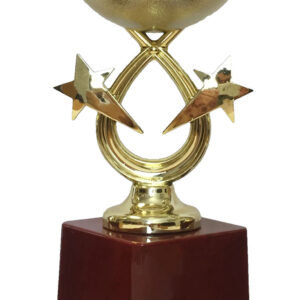 T120 Medium Plastic Trophy