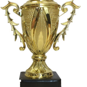 T14 Plastic Trophy