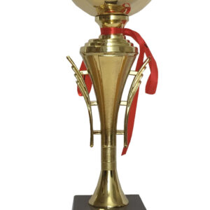 T195 Plastic Trophy