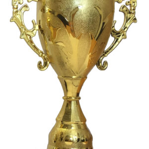 T200 Large Plastic Trophy