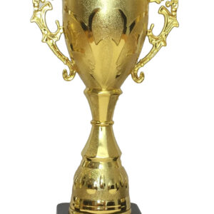 T201 Medium Plastic Trophy