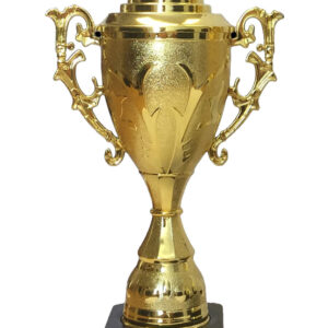 T202 Small Plastic Trophy