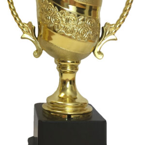 T203 Medium Plastic Trophy