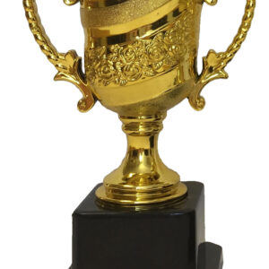 T204 Small Plastic Trophy